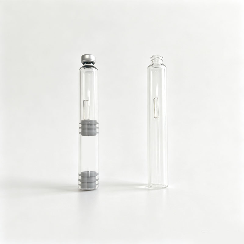10/20 pcs Dual Chamber Ink Car - đánh giá và giá Fountain Pen Bottled Ink
