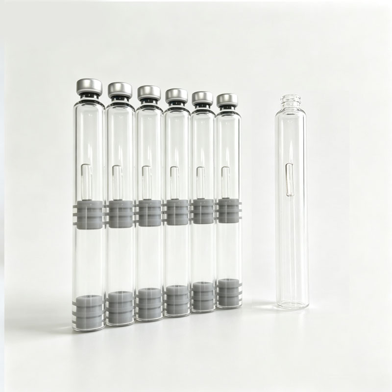 10/20 pcs Dual Chamber Ink Car - đánh giá và giá Fountain Pen Bottled Ink